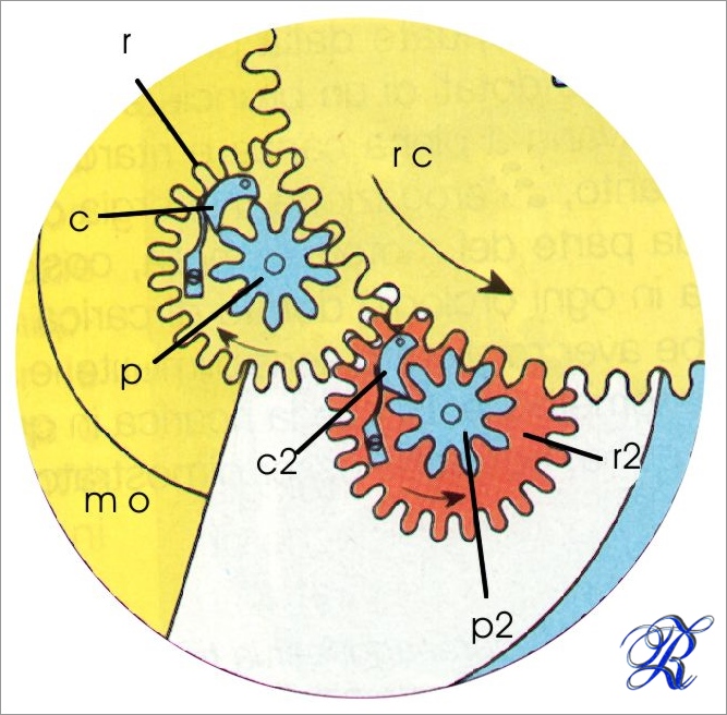 Invertitori